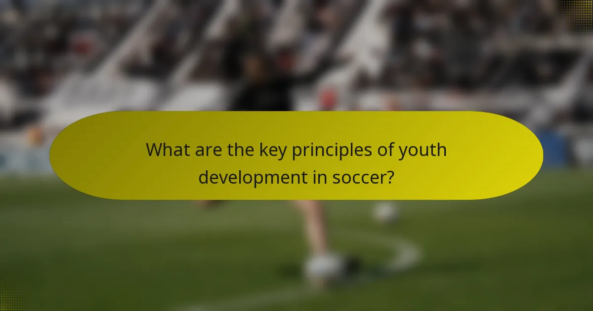 What are the key principles of youth development in soccer?